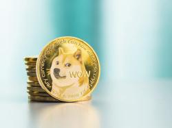  dogecoins-road-to-the-golden-cross-crypto-analyst-shares-his-take-on-bull-market-milestone 