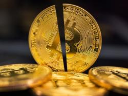  bitcoin-shrugs-off-fourth-halving-miner-rewards-halved-price-holds-strong 