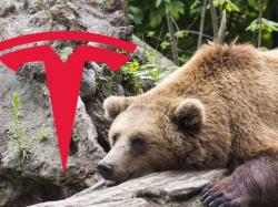  tesla-bears-drive-ev-stock-to-new-52-week-lows-will-q1-earnings-shift-gears 