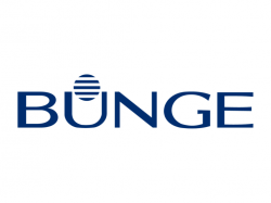  bunge-shares-dip-over-5-after-q1-results-details-here 