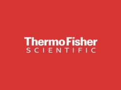  these-analysts-revise-their-forecasts-on-thermo-fisher-scientific-following-upbeat-earnings 