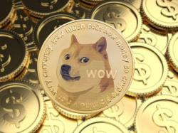  meme-coins-are-a-pure-ponzi-and-destroying-crypto-says-trader-who-thinks-dogecoin-was-different 