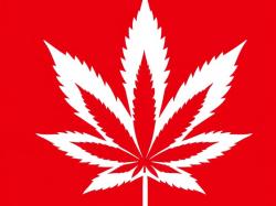  canada-cannabis-update-health-recall-home-cultivation-ban-reversal-international-expansion 