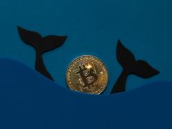  whales-on-vacation-bitcoin-slumber-sparks-talk-of-price-explosion--analyst-says-this-could-be-the-spark-needed 