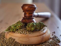  ny-supreme-courts-landmark-ruling-upholds-medical-marijuana-patients-rights-under-human-rights-law 