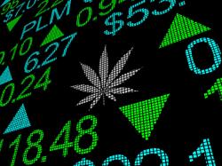  whats-going-on-with-im-cannabis-stock 