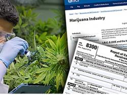  new-tax-rules-in-cannabis-what-are-the-consequences-dea-rescheduling 