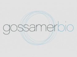  gossamer-bio-collaborates-with-italian-drugmaker-chiesi-to-advance-lung-health-solutions-worldwide 