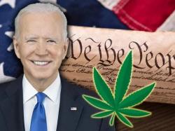  weed-industry-celebrates-bidens-rescheduling-move-most-monumental-cannabis-reform-in-half-a-century 