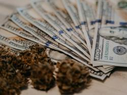  delta-9-cannabis-q1-revenue-drops-slightly-yoy-gross-profit-grows-10 