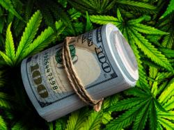  cannabis-tech-firm-agrify-significantly-cuts-loss-but-also-sees-revenue-decline 