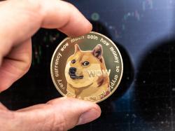  dogecoin-floki-and-shiba-inu-tumble-after-iconic-japanese-dog-that-inspired-them-passes-away-at-18-janet-yellen-acknowledges-rising-cost-of-living-amid-persistent-inflation---top-headlines-today-while-us-slept 
