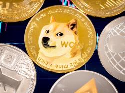  dogecoin-co-creator-elon-musk-join-tributes-to-kabosus-death-ascension-to-heaven-to-be-with-harambe-will-live-forever-in-our-hearts 