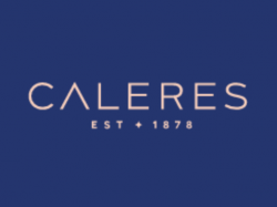  why-is-footwear-company-caleres-stock-falling-after-q1-results 