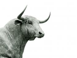 bull-markets-are-usually-longer-and-stronger-than-this