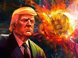  donald-trumps-crypto-stash-swells-to-31m-thanks-to-trump-frog-trog-airdrop 