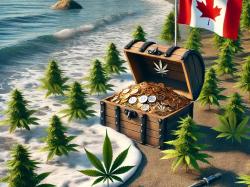  high-tide-reports-345m-cash-position-sells-1400-shares-in-q2-expands-cannabis-footprint 