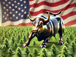  why-the-time-to-invest-in-us-cannabis-stocks-is-right-now 