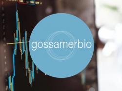  gossamer-bios-clean-safety-profile-differentiates-it-from-merck-analyst-says 