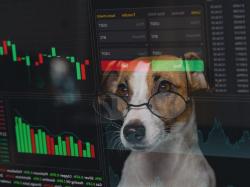  why-are-petco-shares-surging-friday 