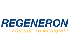  whats-going-on-with-regeneron-pharmaceuticals-stock-on-friday 