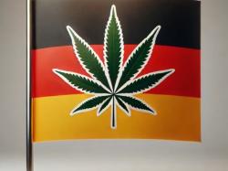  what-are-germans-rolling-in-their-joints-this-denver-cannabis-company-found-out-at-berlins-mary-jane-trade-fair 