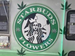  starbucks-sues-ny-weed-retailer-for-trademark-infringement-over-starbuds-logo 
