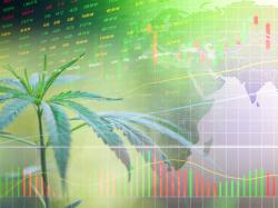  im-cannabis-announces-major-share-consolidation-plan-what-investors-need-to-know 