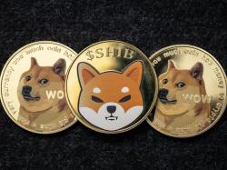  dogecoin-killer-shiba-inu-experiences-a-440-surge-in-burn-rate-bidens-campaign-fundraising-declines-following-poor-debate-performance---top-headlines-today-while-us-slept 