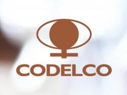  codelco-eyes-500m-stake-in-tecks-quebrada-blanca-copper-mine 