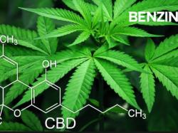  fda-accuses-companies-of-marketing-cannabis-products-to-children-amid-debate-on-hemp-cannabinoids-ban 