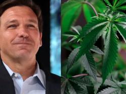  ron-desantis-blasts-floridas-cannabis-legalization-ballot-at-rnc-it-would-allow-80-joints-a-day-affecting-free-speech-and-gun-rights 