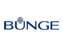  bunge-shares-tumble-over-6-after-q2-miss-ceo-highlights-strategic-moves-amid-cash-flow-concerns 