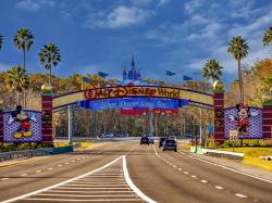  disney-world-puts-24-of-travelers-into-debt-conglomerates-theme-parks-remain-popular-other-segments-falter 