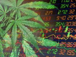  leef-brands-cannabis-co-is-cash-flow-positive-for-third-consecutive-quarter-reduced-net-loss 