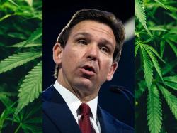  ron-desantis-slams-trulieves-alleged-canadian-ties-in-his-battle-against-cannabis-legalization 