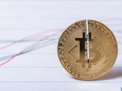  bitcoin-market-dominance-in-final-stretch-will-peak-at-60-until-december-analyst-says 