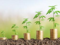  marijuana-growing-solution-provider-agrify-reports-41-yoy-revenue-drop-cuts-loss-plans-new-strategies 