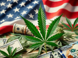  cannabis-lender-safe-harbor-q2-net-income-hits-09m-amid-cost-cuts-adjusted-ebitda-up-145 