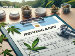 아르헨티나, 의료용 대마 규정 강화... 2024년 REPROCANN 주요 변경사항과 환자 영향은