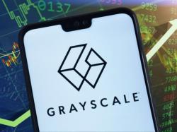  grayscale-appoints-wall-street-veteran-peter-mintzberg-as-new-ceo 