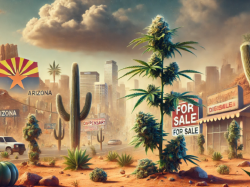  arizona-cannabis-market-faces-decline-in-sales-though-valuations-remain-strong 