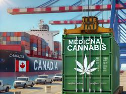  aurora-cannabis-dominates-30-of-canadas-medical-marijuana-exports-will-its-bold-international-expansion-pay-off 