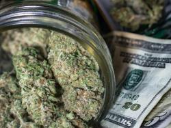  florida-cannabis-operator-cansortium-posts-12-revenue-surge-prepares-for-big-merger-amid-heated-price-war 