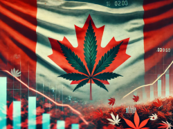  canadas-cannabis-growth-slowed-due-to-federal-gov-inaction-key-industry-leader-says 