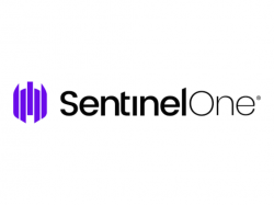  sentinelone-posts-q2-beat-6-analysts-cite-benefits-of-crowdstrike-customer-churn-outage-was-a-net-positive 