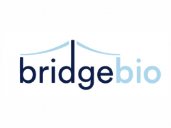  why-is-bridgebio-pharma-stock-trading-higher-on-friday 