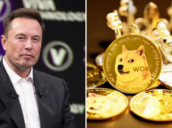  elon-musk-and-tesla-triumph-in-dogecoin-insider-trading-lawsuit-judge-says-investors-cant-rely-on-tweets-to-pursue-securities-fraud-claim 