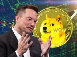  tesla-ceo-elon-musk-wants-to-bring-back-dogecoin-as-a-payment-option-to-buy-companys-merchandise 