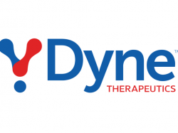  muscle-disease-drug-developer-dyne-therapeutics-stock-plunges-after-updated-data-from-duchenne-muscular-dystrophy 